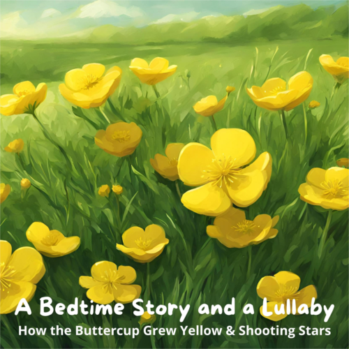 A Bedtime Story and a Lullaby: How the Buttercup Grew Yellow & Shooting Stars