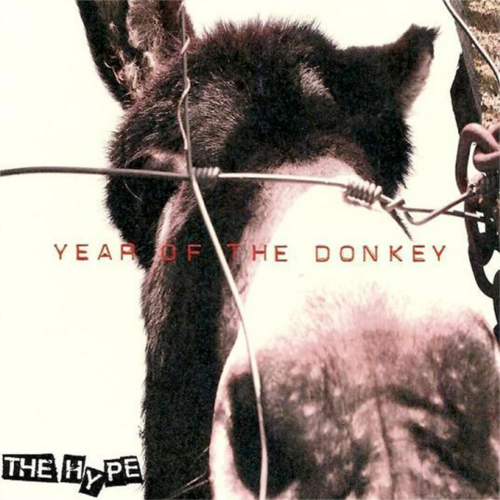Year of the donkey